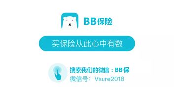 百年康惠保旗艦版純重疾險深度解讀 聚焦核心保障，守護家庭健康